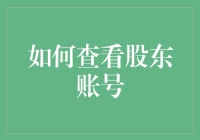 如何专业有效地查看股东账号：从基础到高级的全面指南