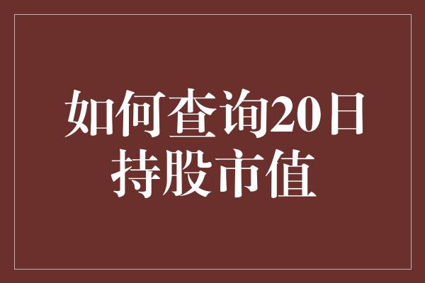 如何查询20日持股市值