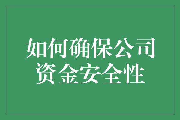 如何确保公司资金安全性