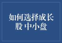 成长股投资中的中小盘：如何挑选潜力股而不被潜力坑坑？