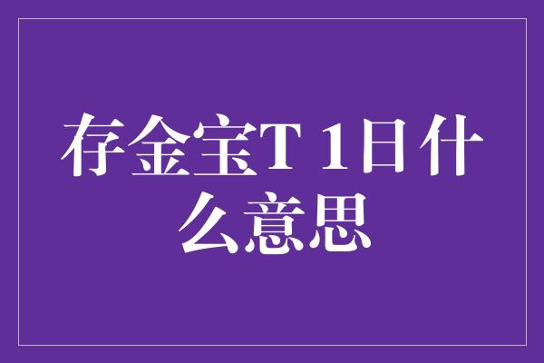 存金宝T 1日什么意思