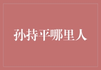 孙持平——一个比平行线还难寻的人