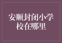 安顺封闭小学校：迷雾中的求知天堂