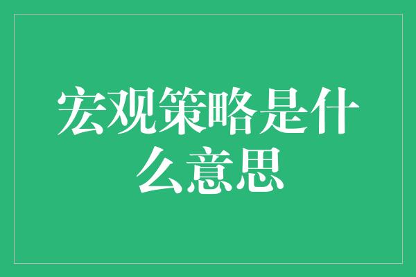 宏观策略是什么意思