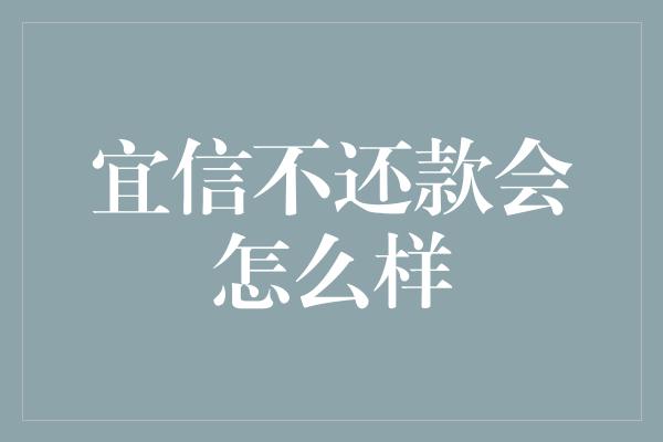 宜信不还款会怎么样