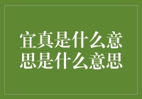 宜真之谜：揭开这个神秘的宜真到底是什么意思的真相！