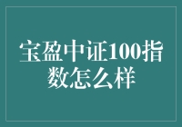 宝盈中证100指数：一场股市的投资寻宝记