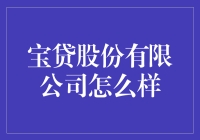 宝贷股份有限公司：稳健前行的互联网金融先锋