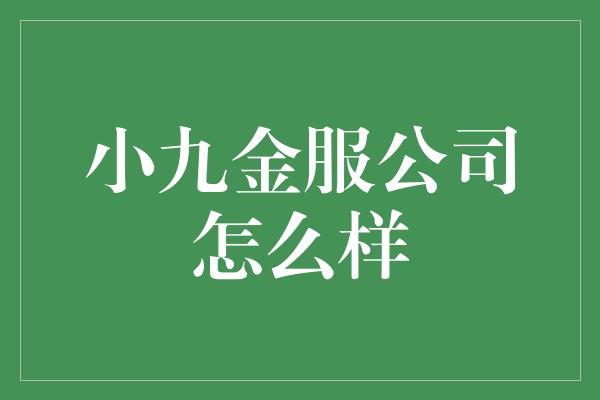 小九金服公司怎么样