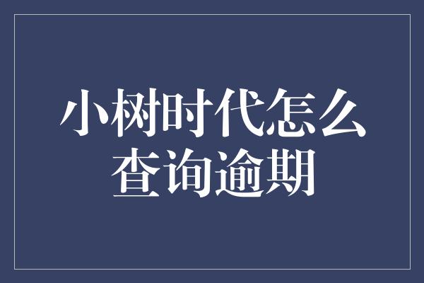 小树时代怎么查询逾期