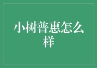 小树普惠：普惠金融的创新实践者