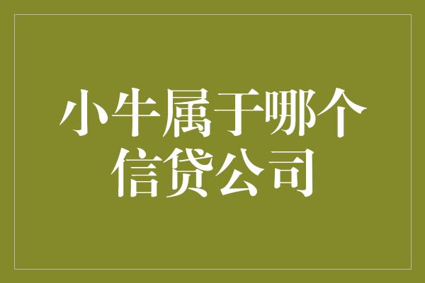 小牛属于哪个信贷公司