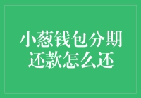 小葱钱包分期还款攻略：从葱农到葱富翁的逆袭之路