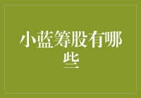 小蓝筹股的投资价值：谁是市场中的潜力股？