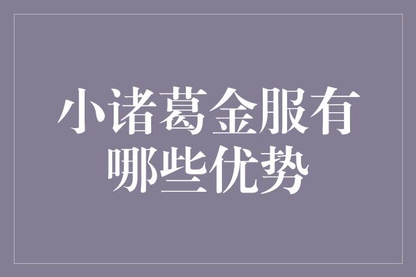 小诸葛金服有哪些优势