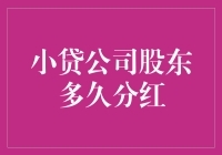 小贷公司股东分红周期：策略与法律视角