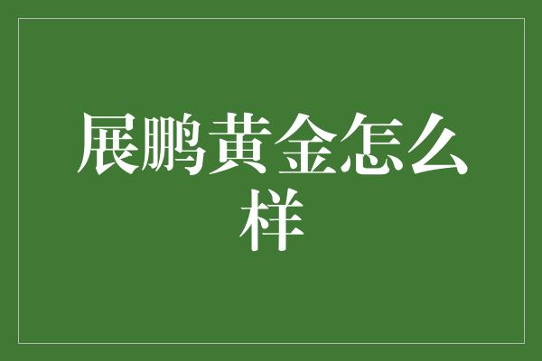 展鹏黄金怎么样