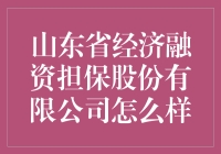 山东省经济融资担保股份有限公司：区域金融支持的重要力量