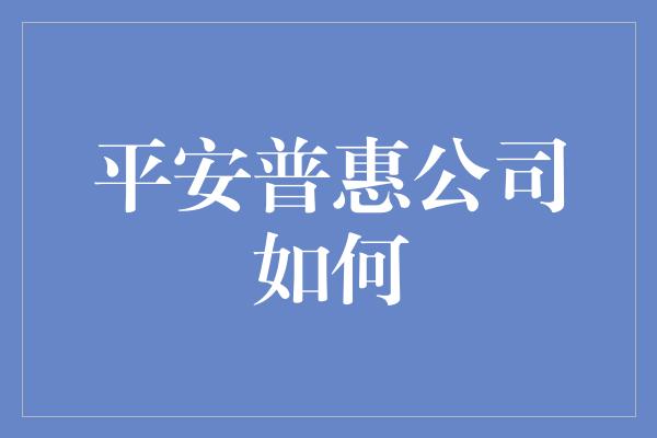 平安普惠公司如何