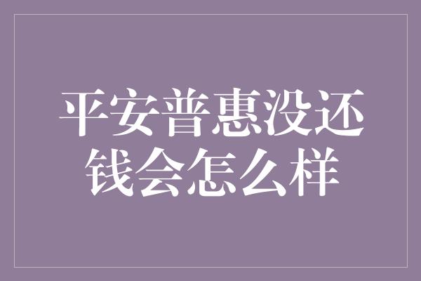 平安普惠没还钱会怎么样