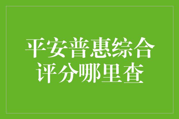 平安普惠综合评分哪里查