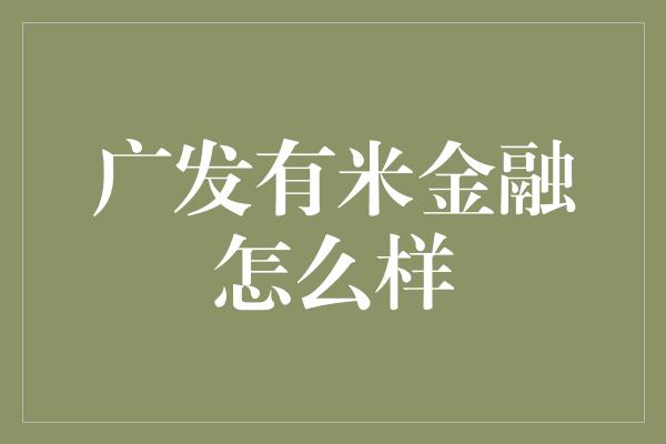 广发有米金融怎么样