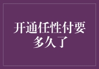 任性付：打开钱包的另一种方式