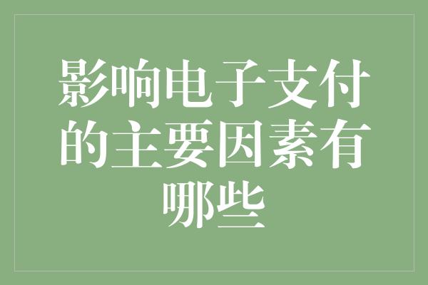 影响电子支付的主要因素有哪些