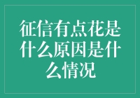 征信记录花的原因及应对策略：解读信用报告中的细节