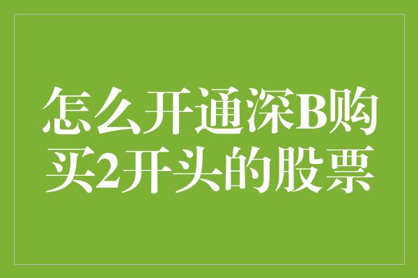 怎么开通深B购买2开头的股票