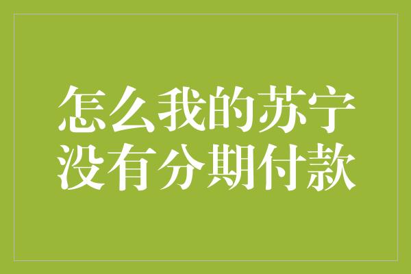 怎么我的苏宁没有分期付款