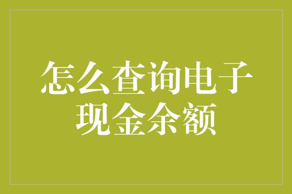 怎么查询电子现金余额