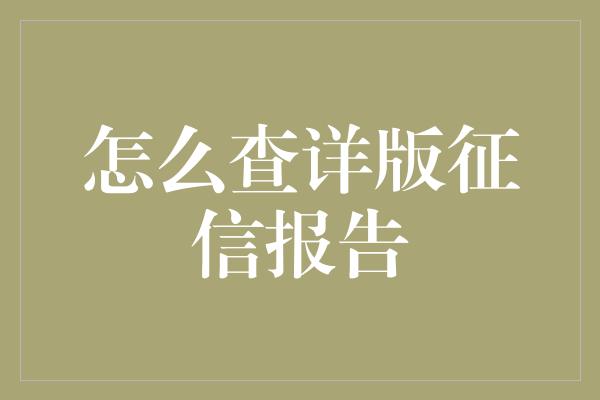 怎么查详版征信报告