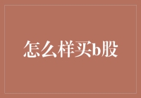 如何购买B股：步骤、策略及风险分析