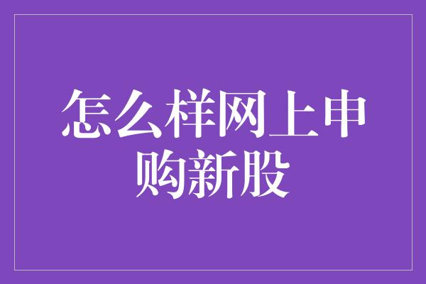 怎么样网上申购新股