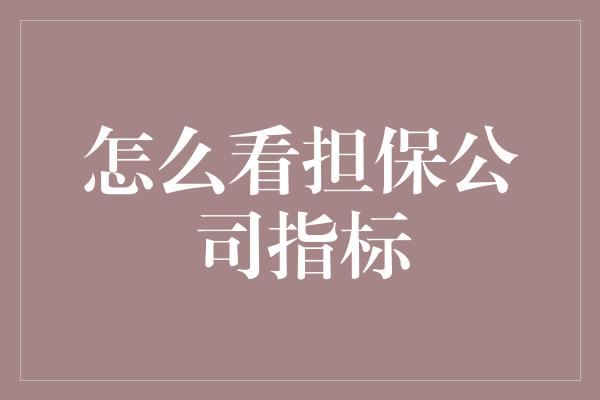 怎么看担保公司指标