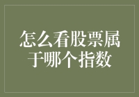 如何判断一只股票属于哪个指数：策略与技巧