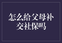 如何有效为父母补交社保：一个全面的指南