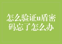 如何在忘记u盾密码时，变身侦探，开启一场密码寻宝之旅？