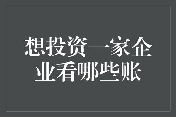 想投资一家企业看哪些账