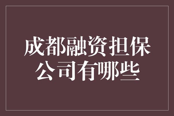 成都融资担保公司有哪些