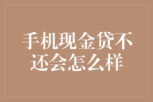 手机现金贷不还会怎么样