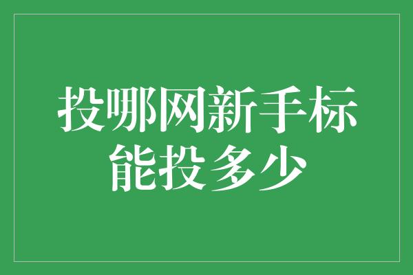 投哪网新手标能投多少