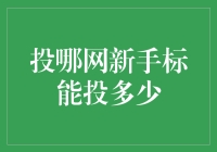 投哪网新手标能投多少？你知道吗？