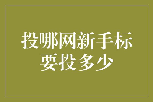 投哪网新手标要投多少