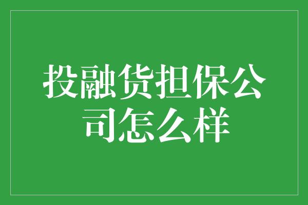 投融货担保公司怎么样