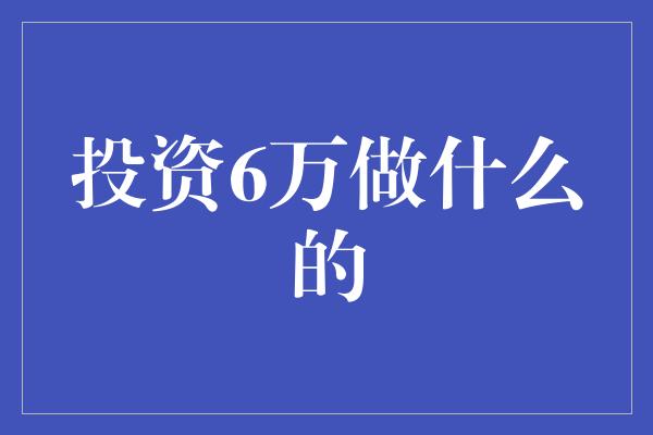 投资6万做什么的