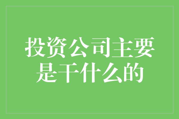 投资公司主要是干什么的