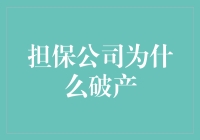 担保公司破产：风险累积与外部冲击下的系统性危机