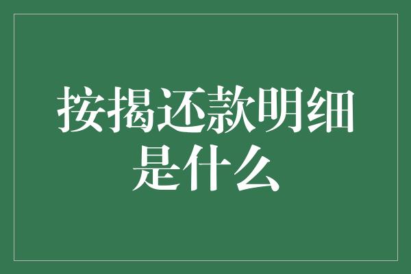 按揭还款明细是什么